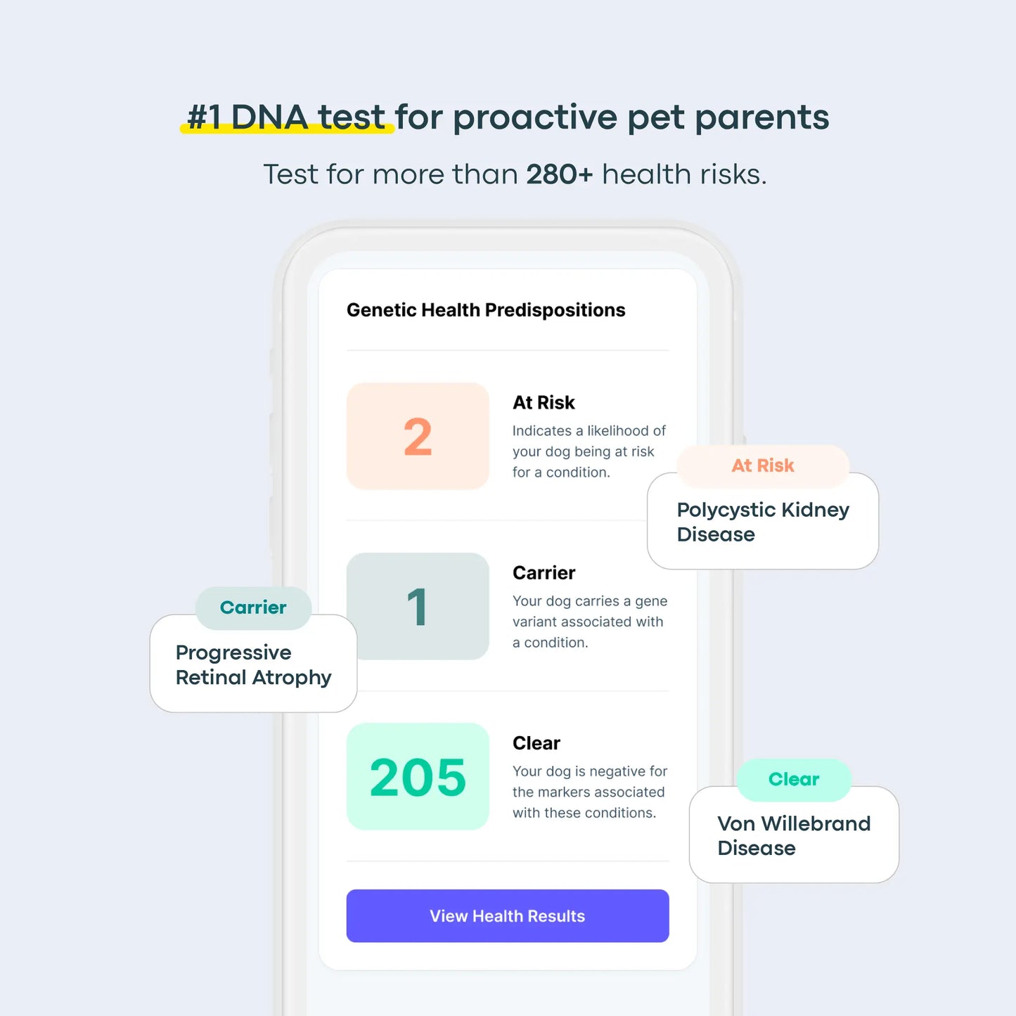 Breed + Health Dog DNA Test