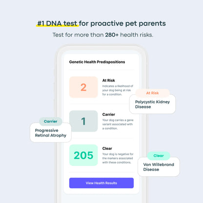 Breed + Health Dog DNA Test