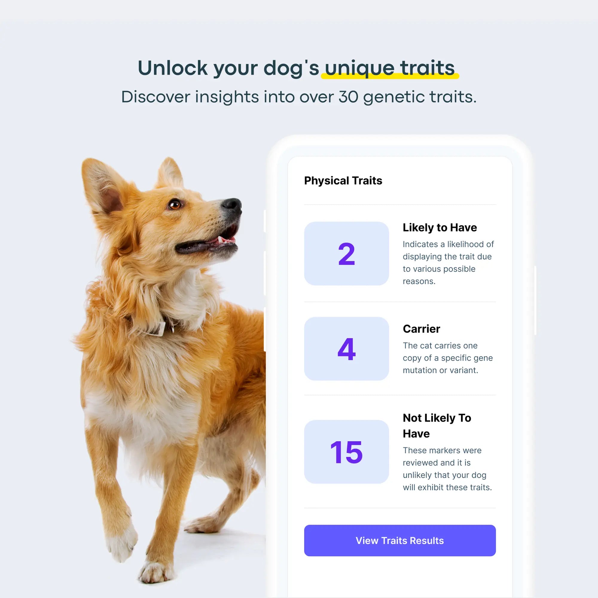Breed + Health Dog DNA Test