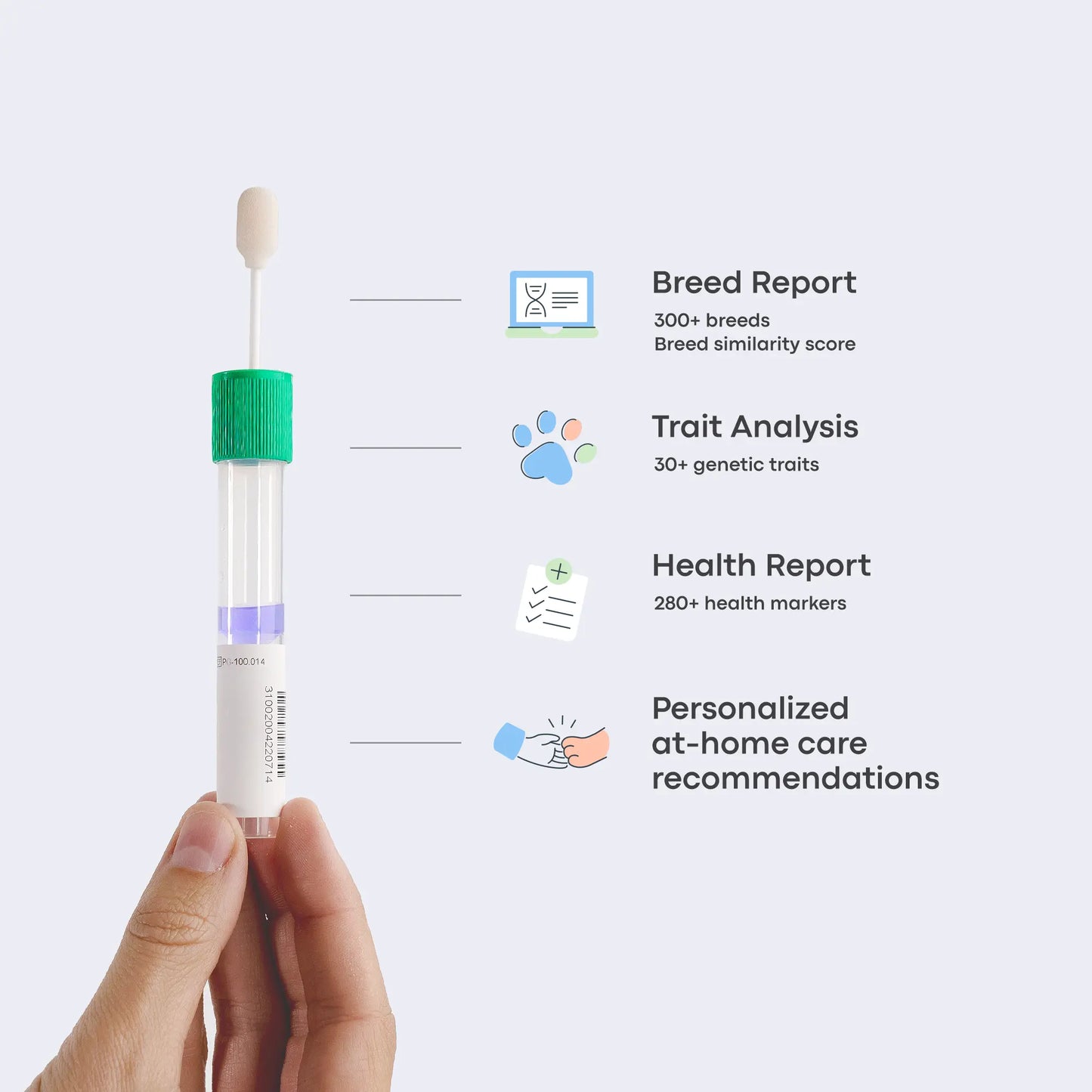 Breed + Health Dog DNA Test