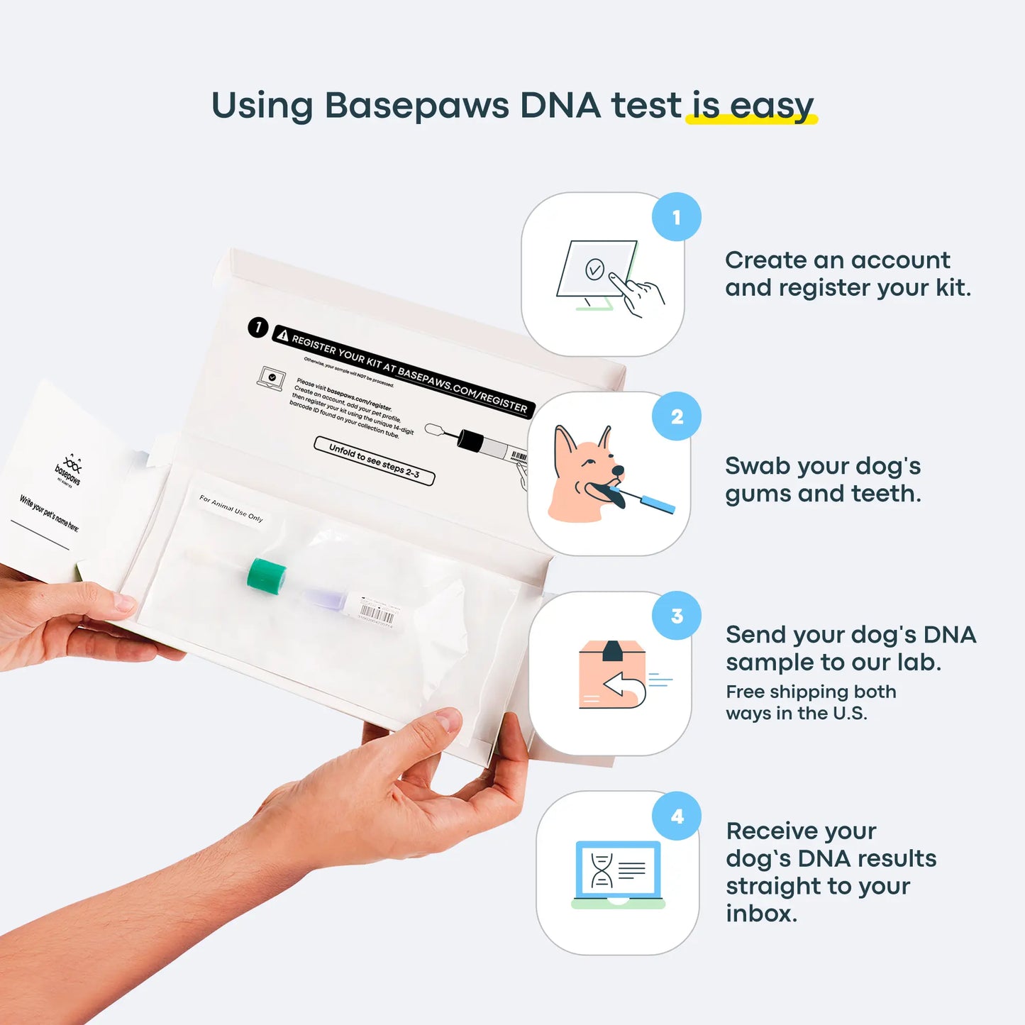 Breed + Health Dog DNA Test