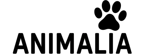 Animalia Store